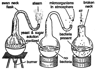 1857_theory of biogenesis1.png